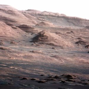 Claiming Evidence of bugs on Mars , University Deletes Press Releases