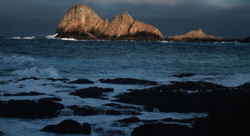 Disputable arrangement to airdrop poison onto the Farallon Islands to annihilate mice gets green light