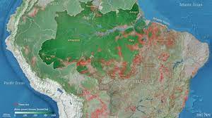 Amazon on the edge: Forest debasement driving carbon misfortune in the Brazilian rainforest