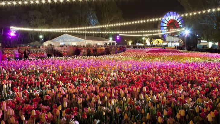 Canberra’s flower show Floriade cancelled as ACT cases increase