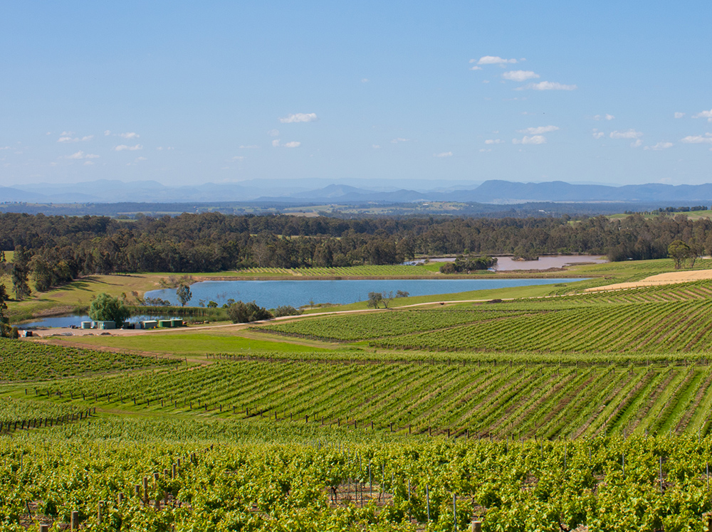 BHP advises miners in NSW Hunter to move highway or leave as an organization gets ready for sale